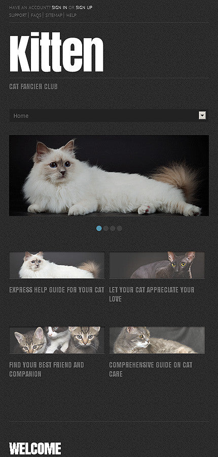 WordPress Themes - GoWebBaby.Com