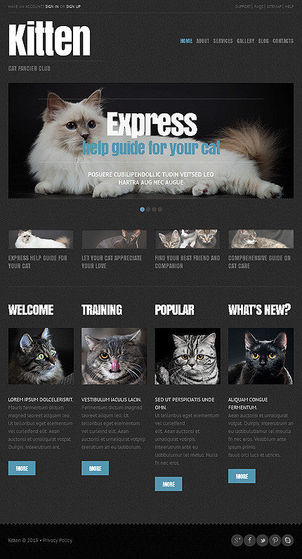 WordPress Themes - GoWebBaby.Com