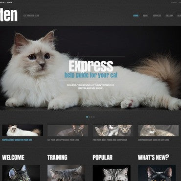 WordPress Themes - GoWebBaby.Com