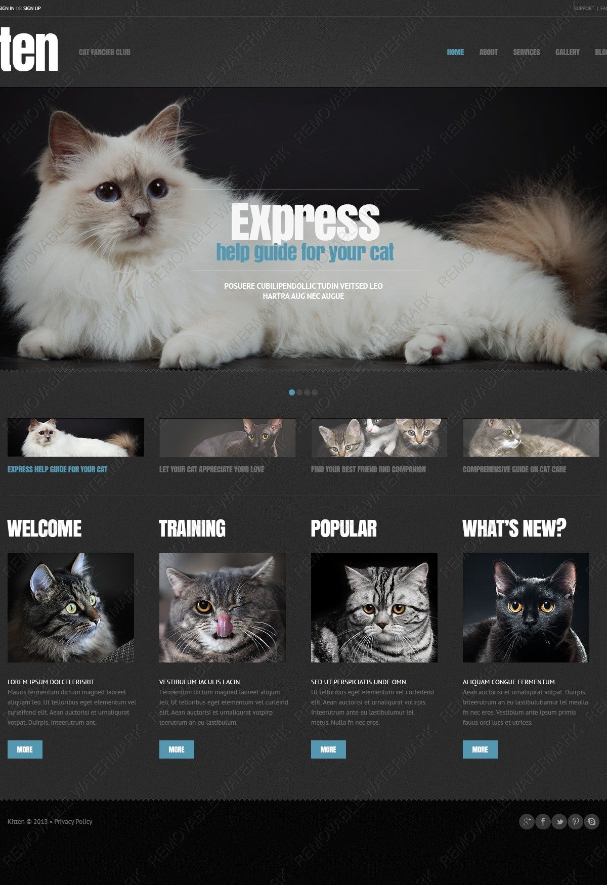 WordPress Themes - GoWebBaby.Com