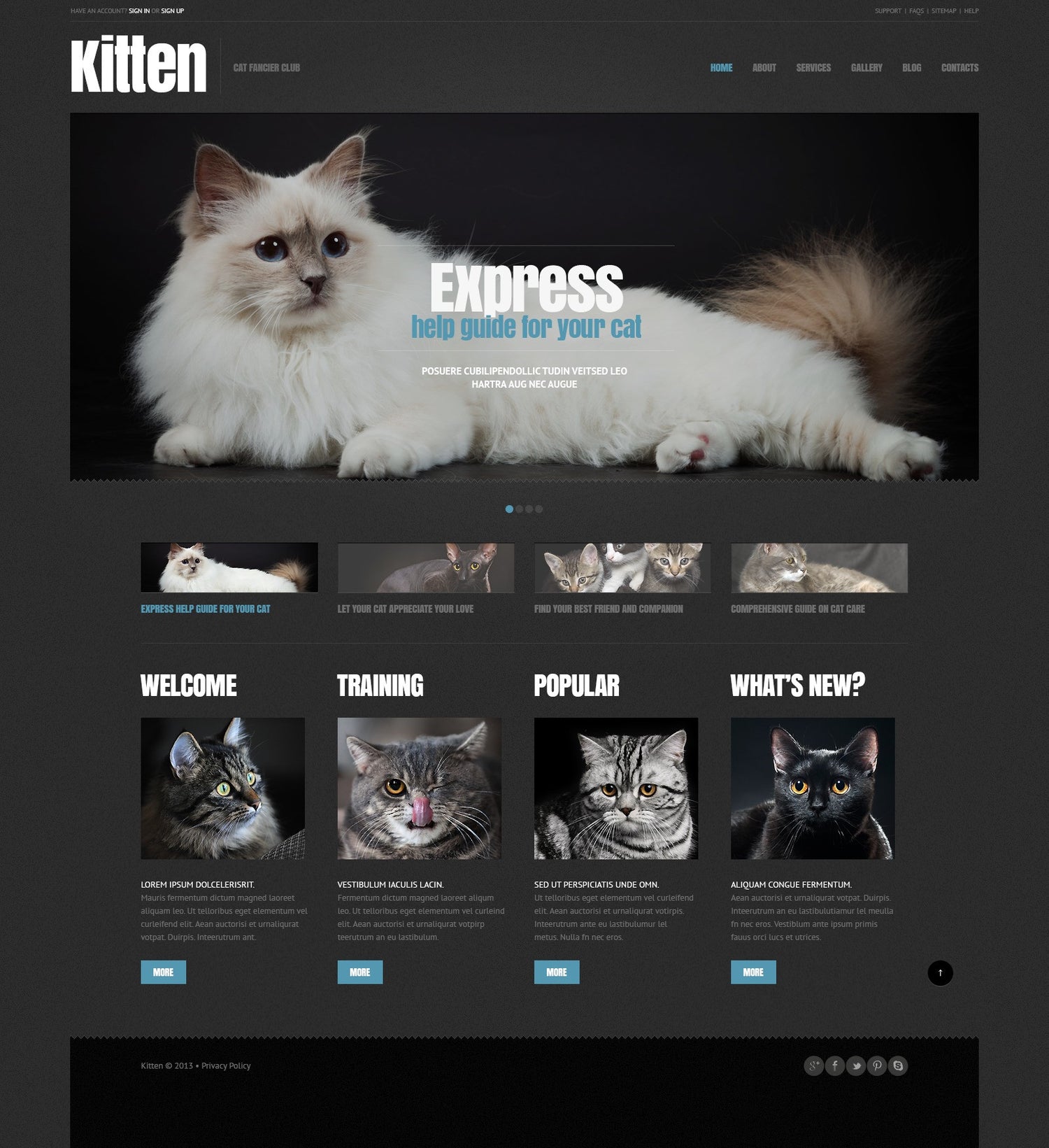 WordPress Themes - GoWebBaby.Com