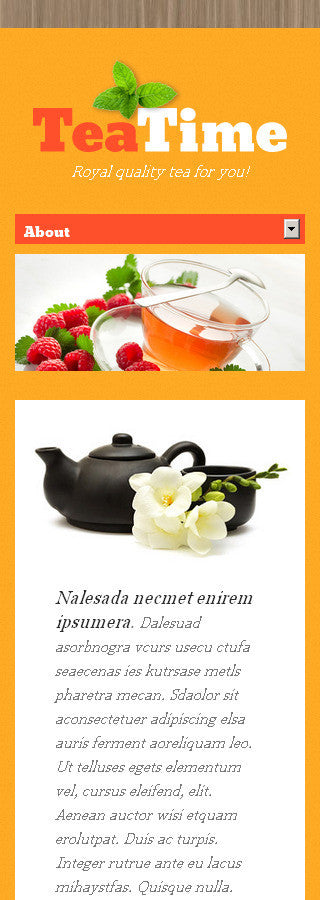 WordPress Themes - GoWebBaby.Com