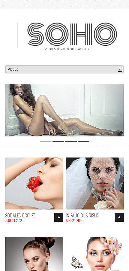 WordPress Themes - GoWebBaby.Com