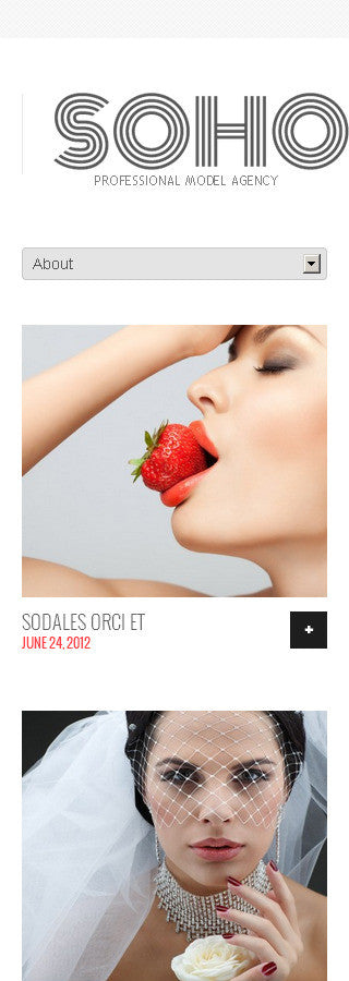 WordPress Themes - GoWebBaby.Com