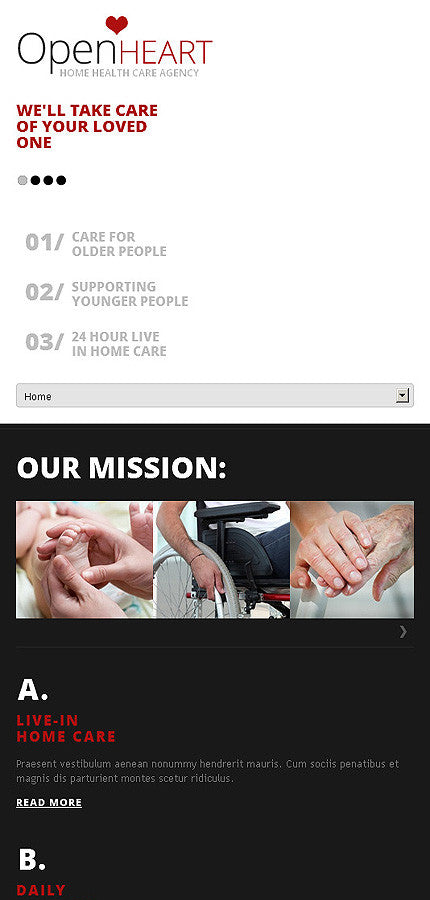WordPress Themes - GoWebBaby.Com