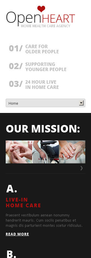 WordPress Themes - GoWebBaby.Com