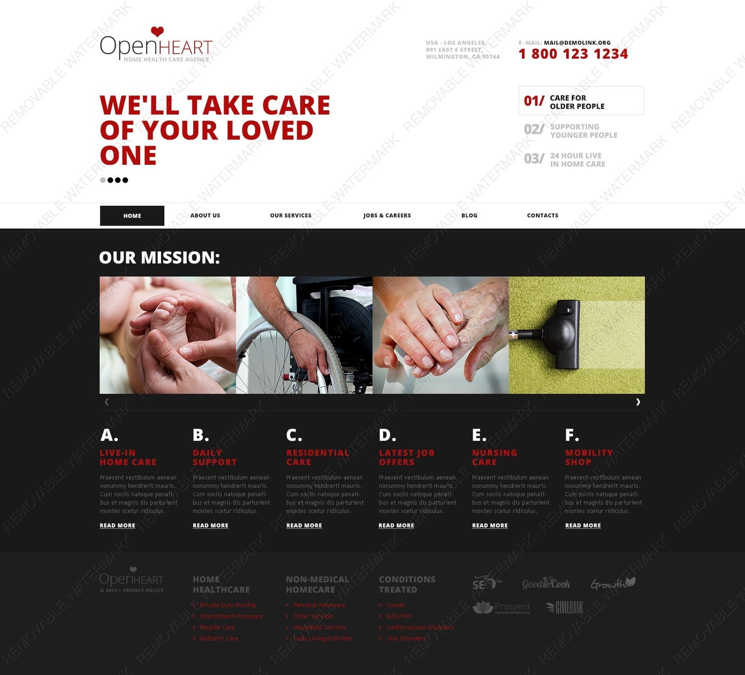 WordPress Themes - GoWebBaby.Com