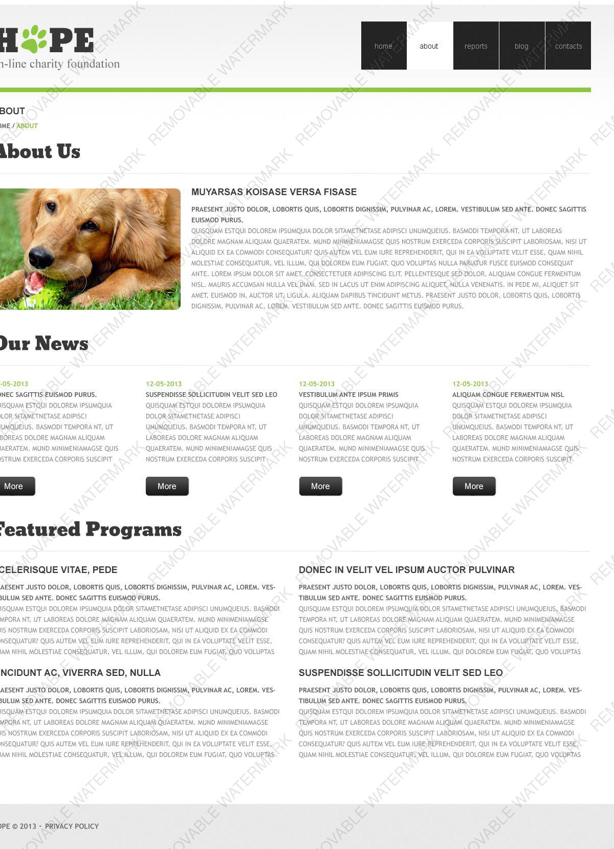 WordPress Themes - GoWebBaby.Com