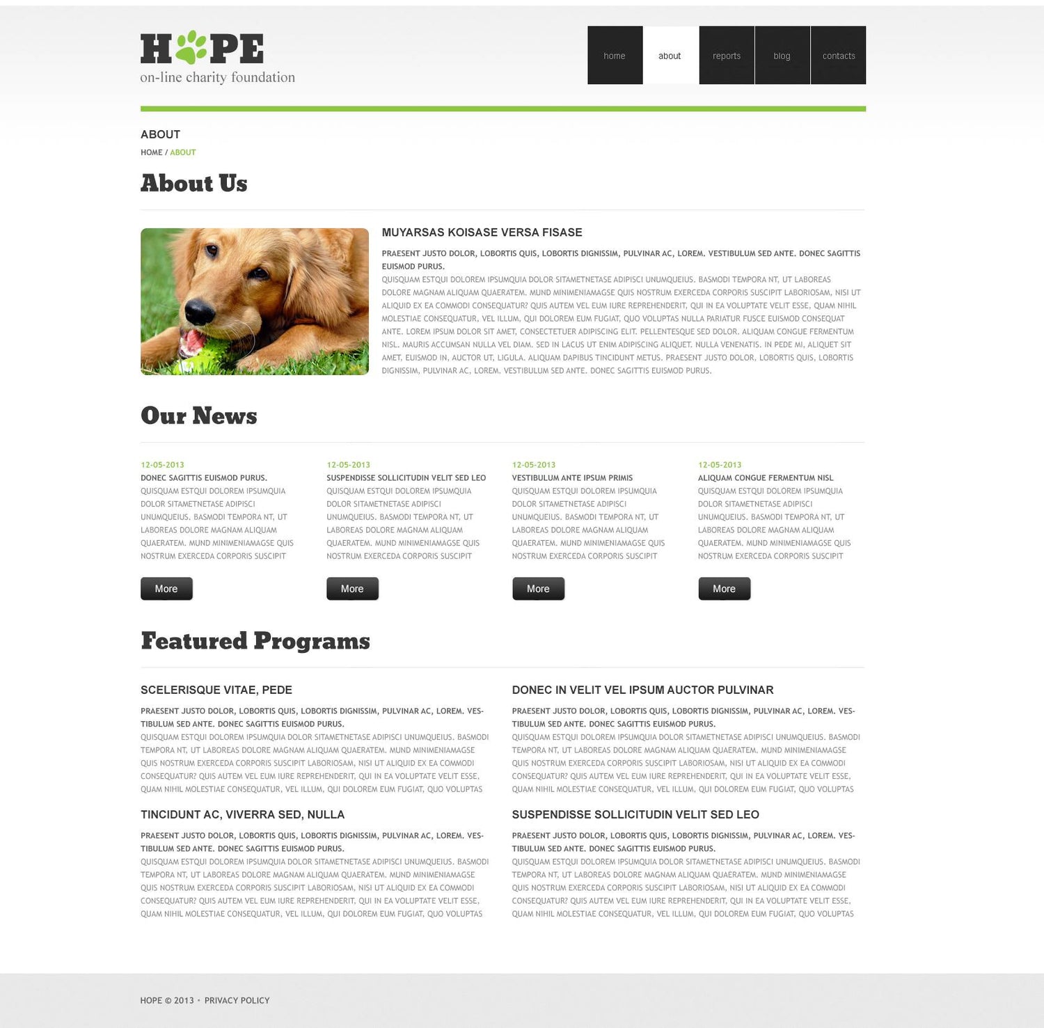 WordPress Themes - GoWebBaby.Com