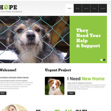 WordPress Themes - GoWebBaby.Com