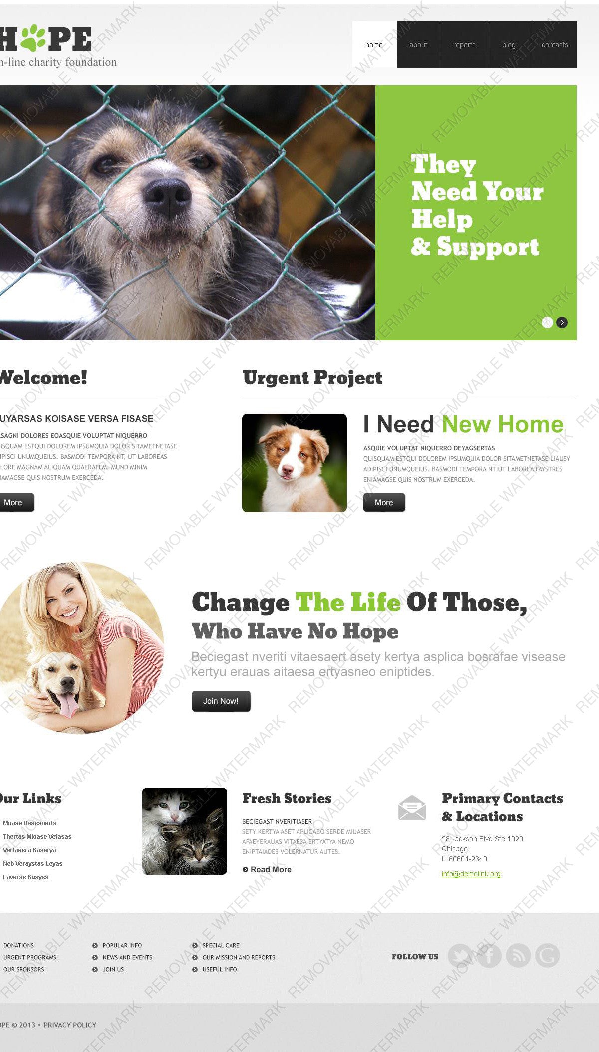 WordPress Themes - GoWebBaby.Com