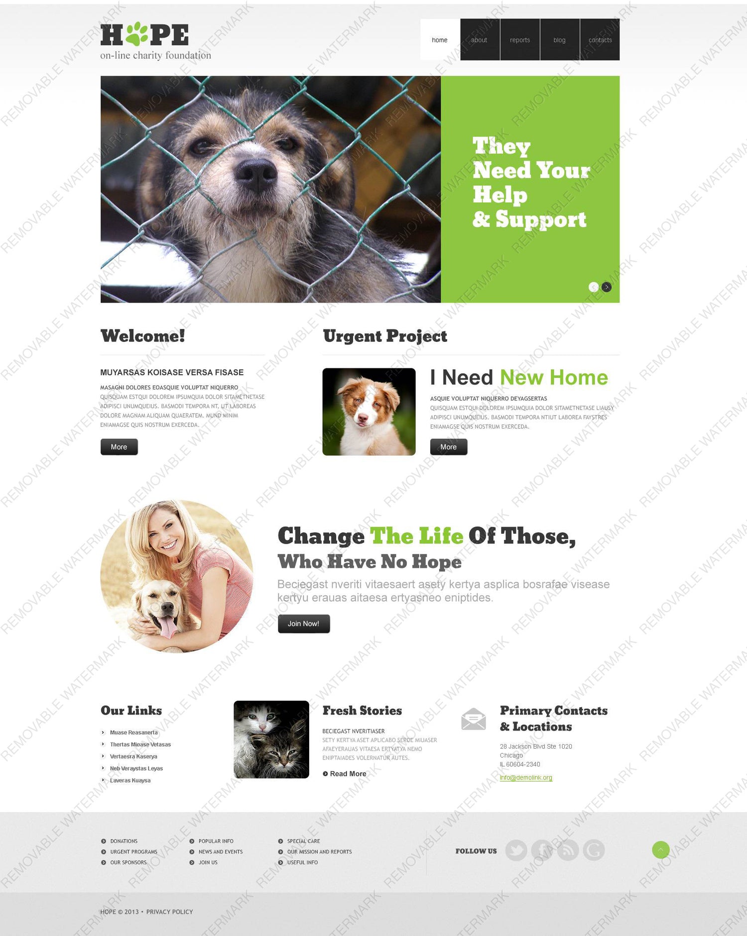 WordPress Themes - GoWebBaby.Com