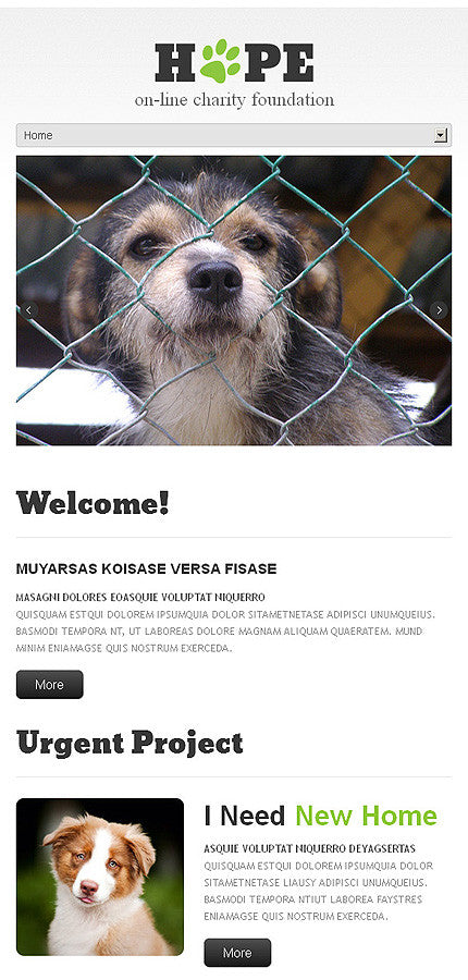 WordPress Themes - GoWebBaby.Com