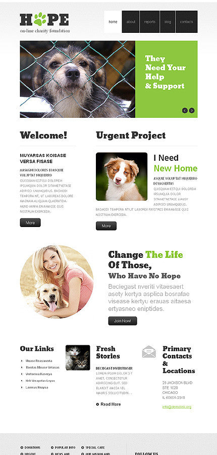 WordPress Themes - GoWebBaby.Com