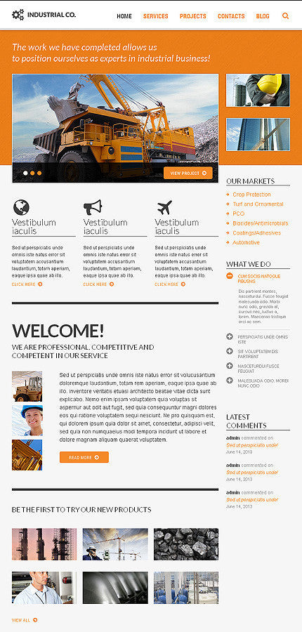 WordPress Themes - GoWebBaby.Com