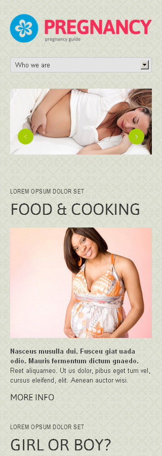 WordPress Themes - GoWebBaby.Com