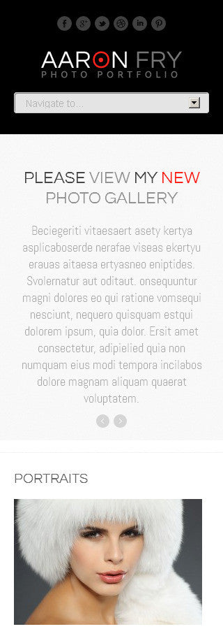 WordPress Themes - GoWebBaby.Com