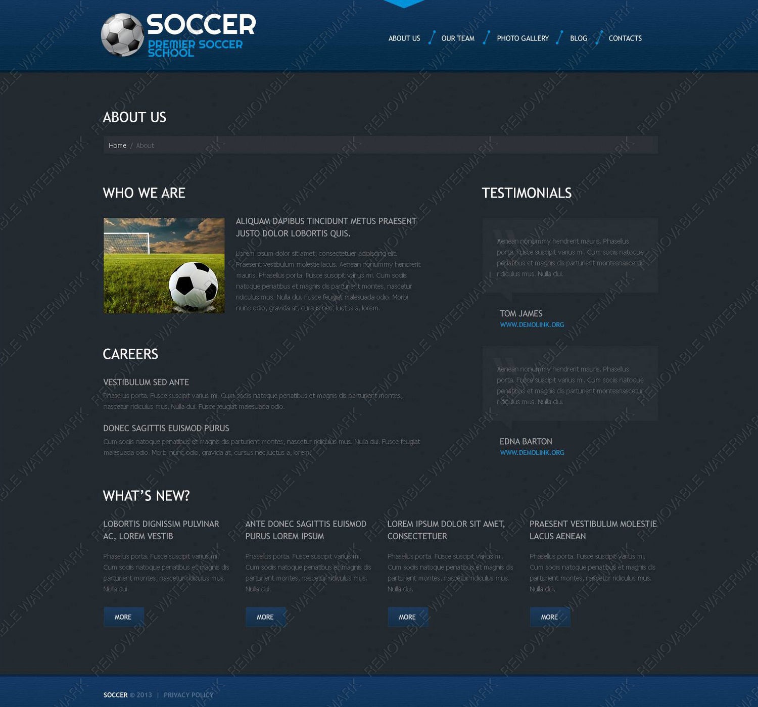 WordPress Themes - GoWebBaby.Com