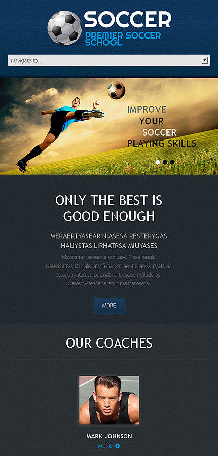 WordPress Themes - GoWebBaby.Com