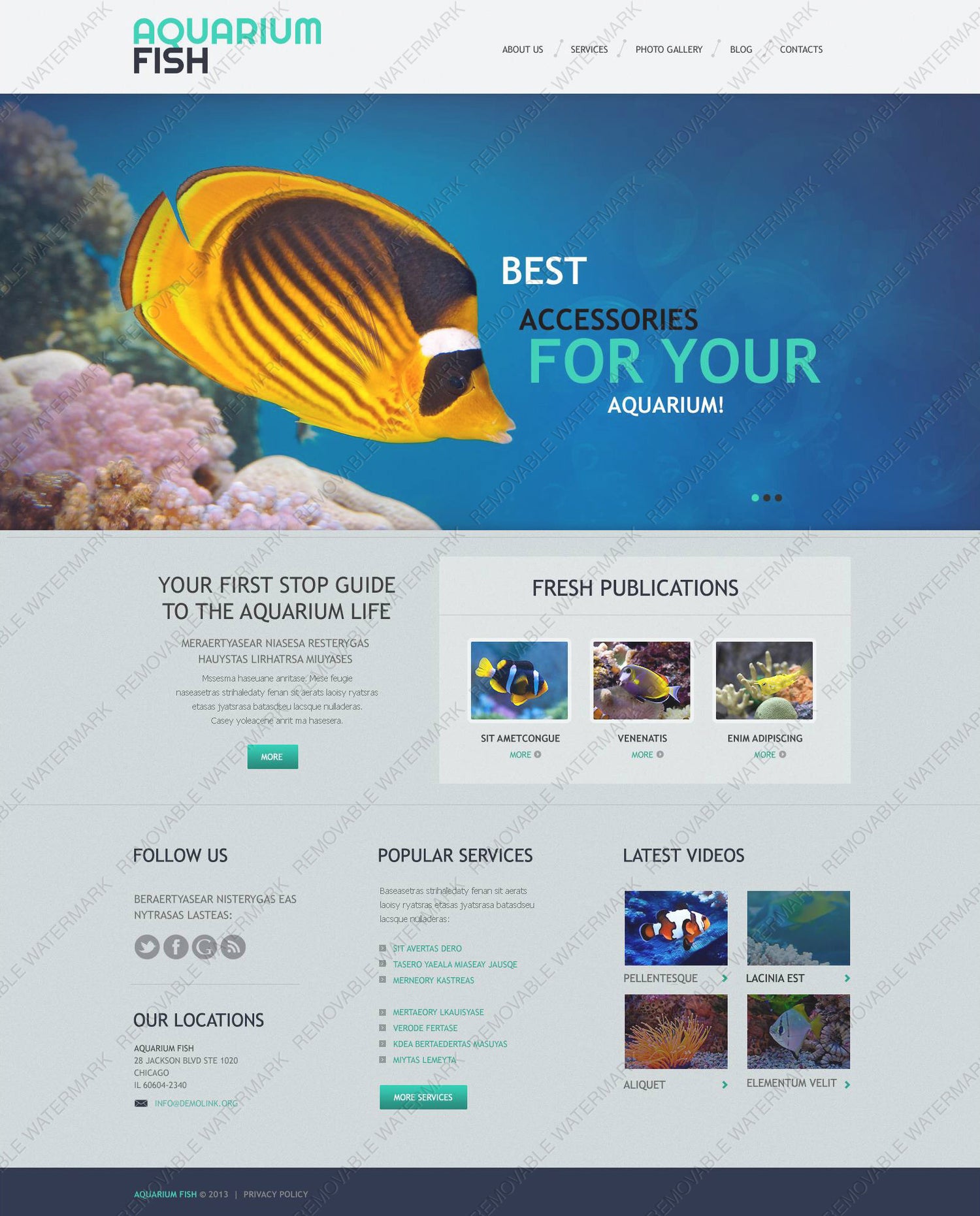 WordPress Themes - GoWebBaby.Com