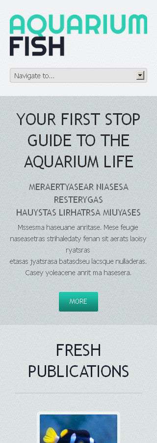 WordPress Themes - GoWebBaby.Com