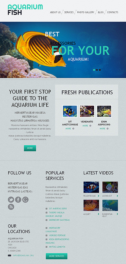 WordPress Themes - GoWebBaby.Com