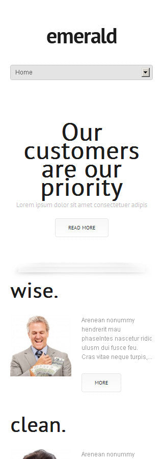 WordPress Themes - GoWebBaby.Com