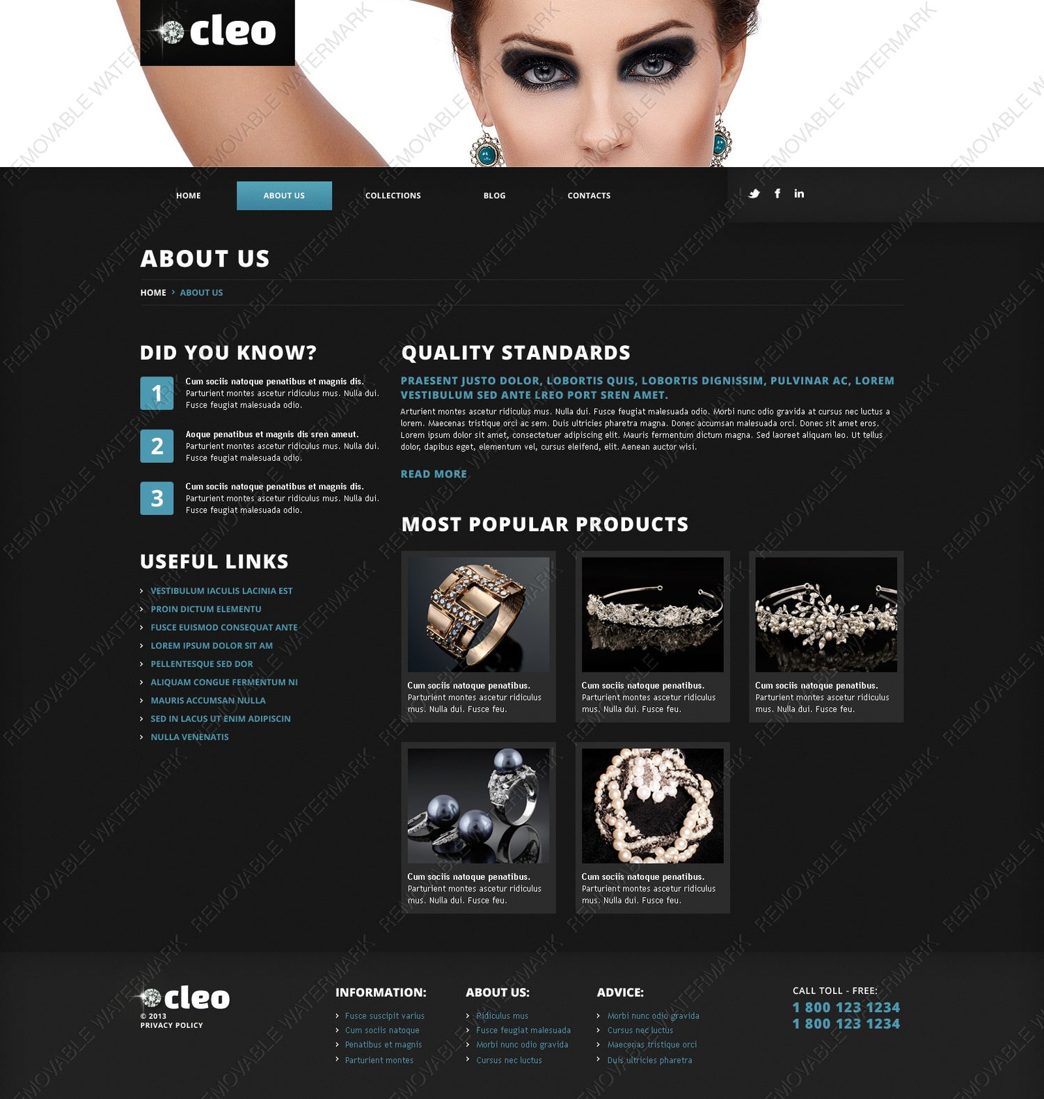 WordPress Themes - GoWebBaby.Com