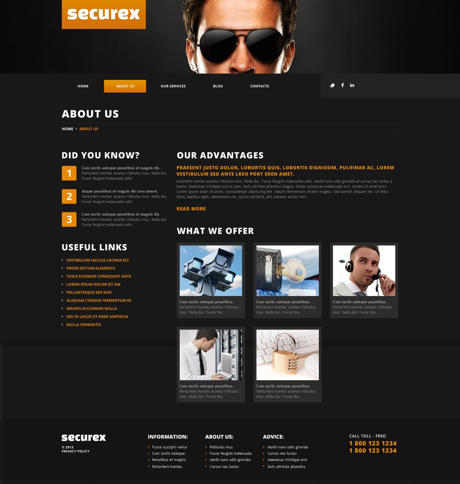 WordPress Themes - GoWebBaby.Com