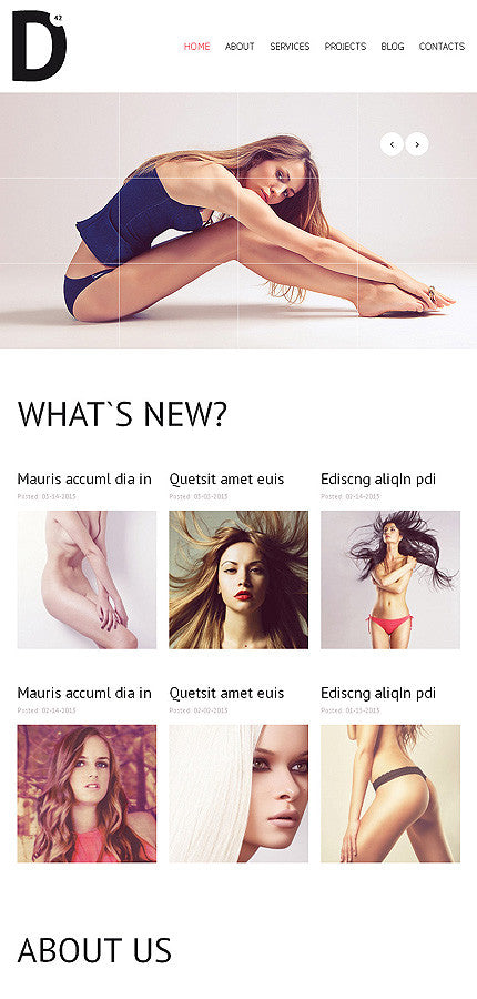 WordPress Themes - GoWebBaby.Com