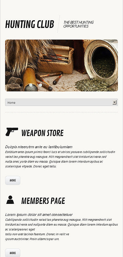 WordPress Themes - GoWebBaby.Com