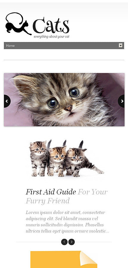WordPress Themes - GoWebBaby.Com