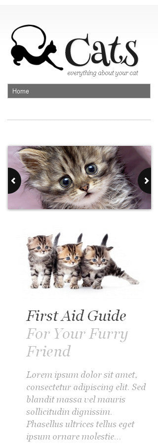 WordPress Themes - GoWebBaby.Com