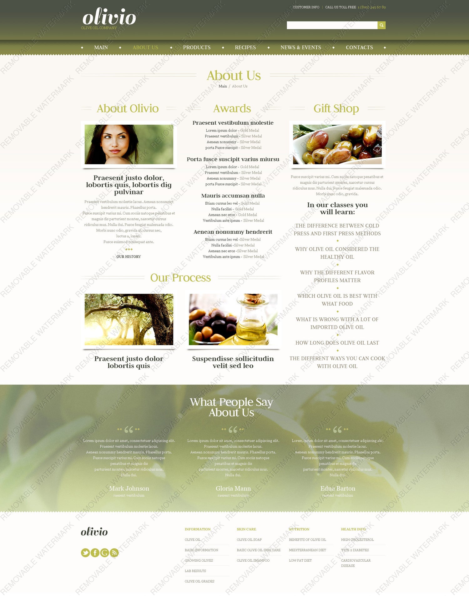 WordPress Themes - GoWebBaby.Com