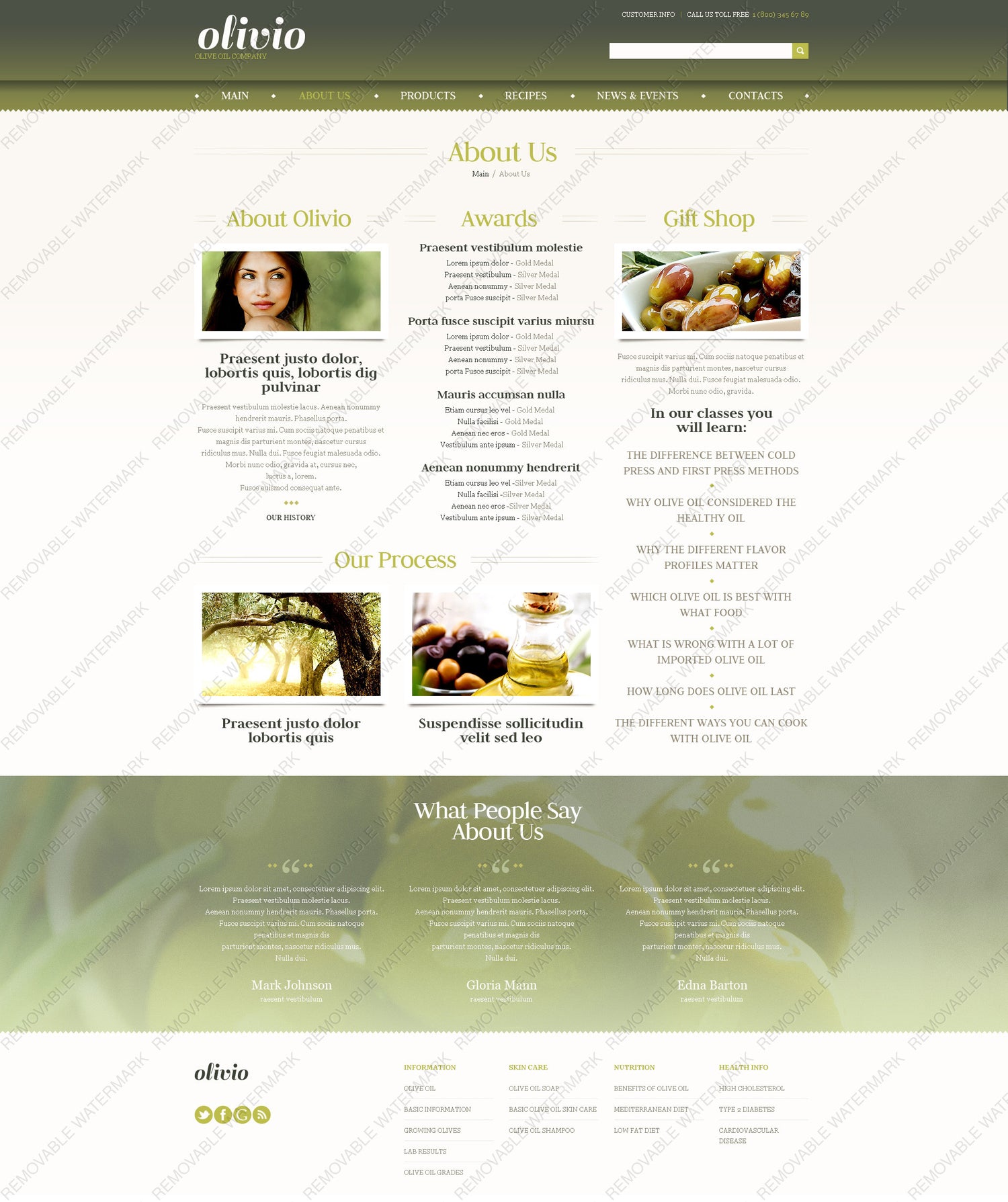 WordPress Themes - GoWebBaby.Com