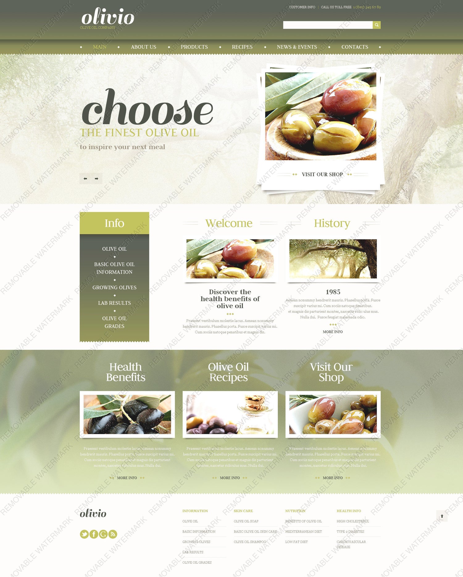 WordPress Themes - GoWebBaby.Com