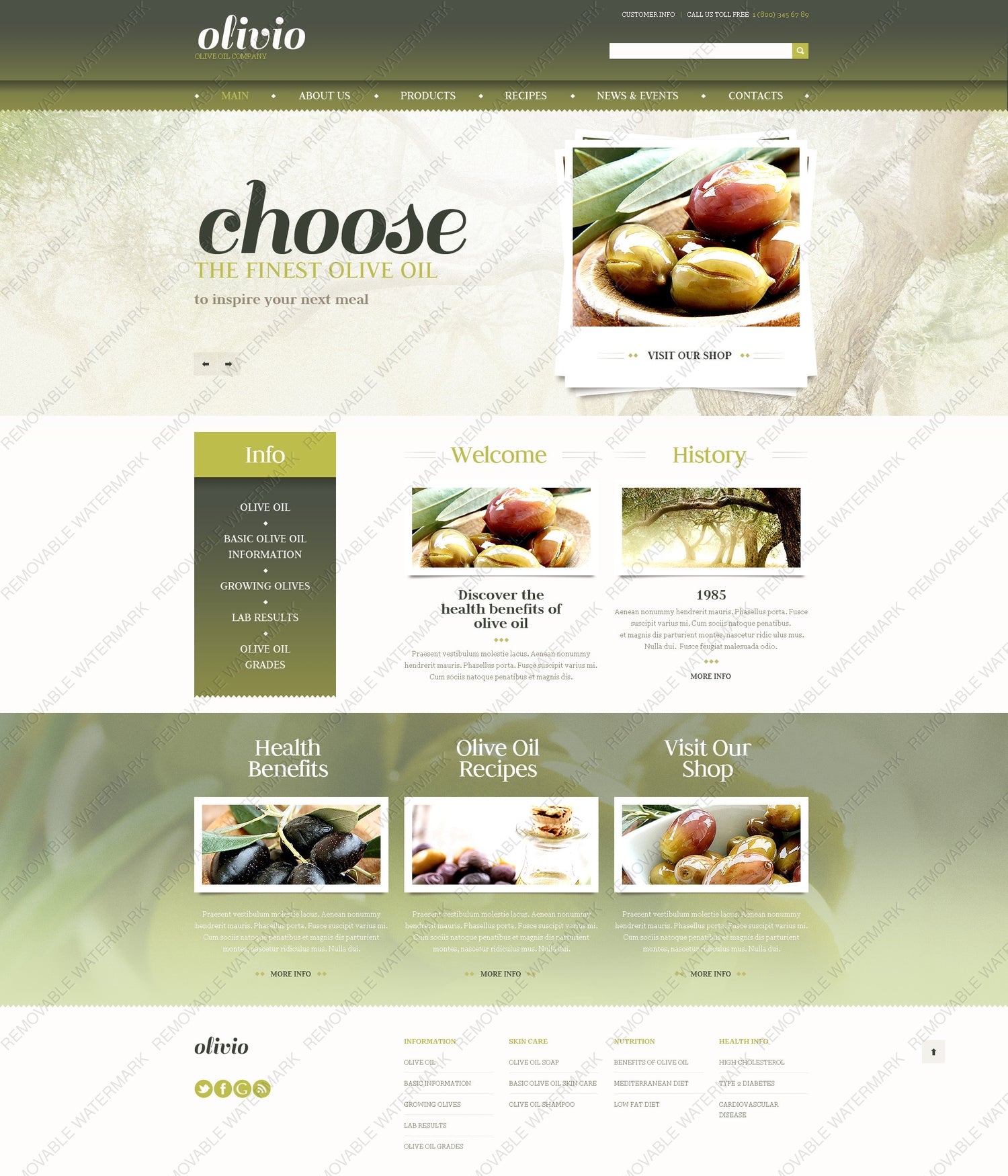 WordPress Themes - GoWebBaby.Com