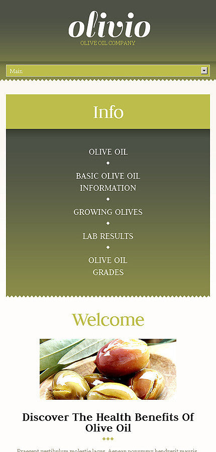 WordPress Themes - GoWebBaby.Com