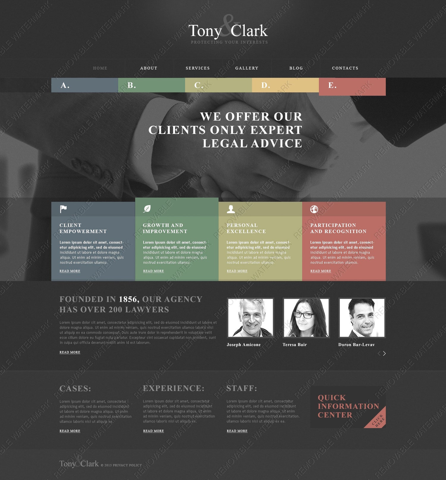 WordPress Themes - GoWebBaby.Com
