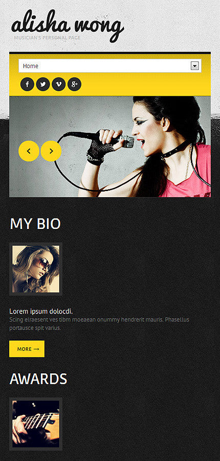 WordPress Themes - GoWebBaby.Com