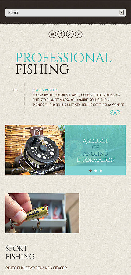 WordPress Themes - GoWebBaby.Com