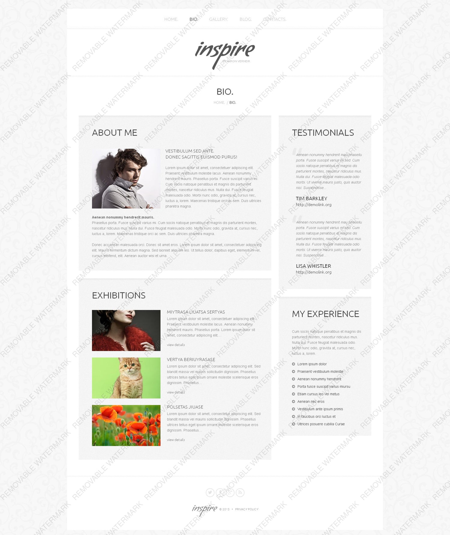 WordPress Themes - GoWebBaby.Com