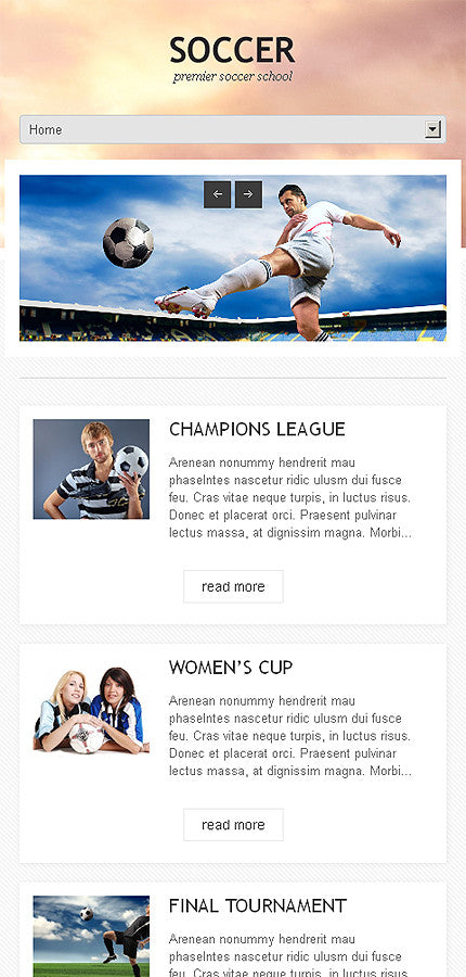 WordPress Themes - GoWebBaby.Com