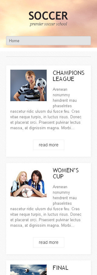 WordPress Themes - GoWebBaby.Com