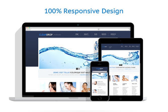 WordPress Themes - GoWebBaby.Com