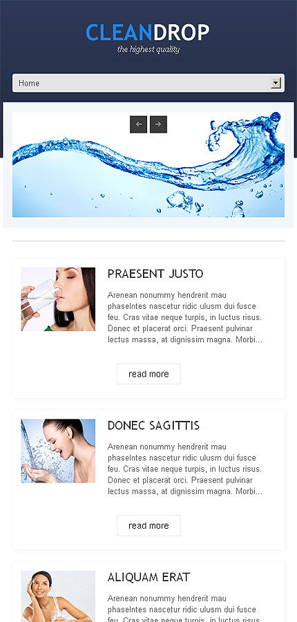 WordPress Themes - GoWebBaby.Com