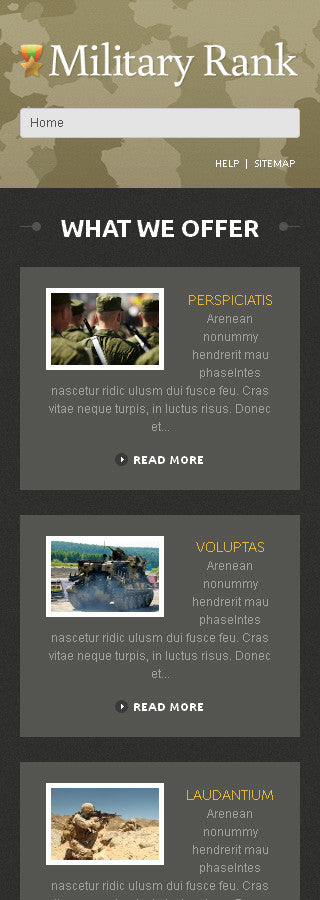 WordPress Themes - GoWebBaby.Com