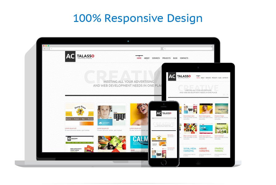 WordPress Themes - GoWebBaby.Com