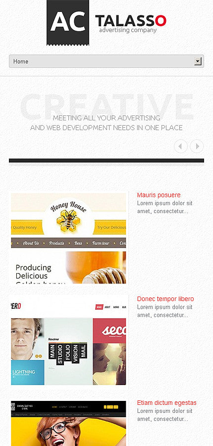 WordPress Themes - GoWebBaby.Com