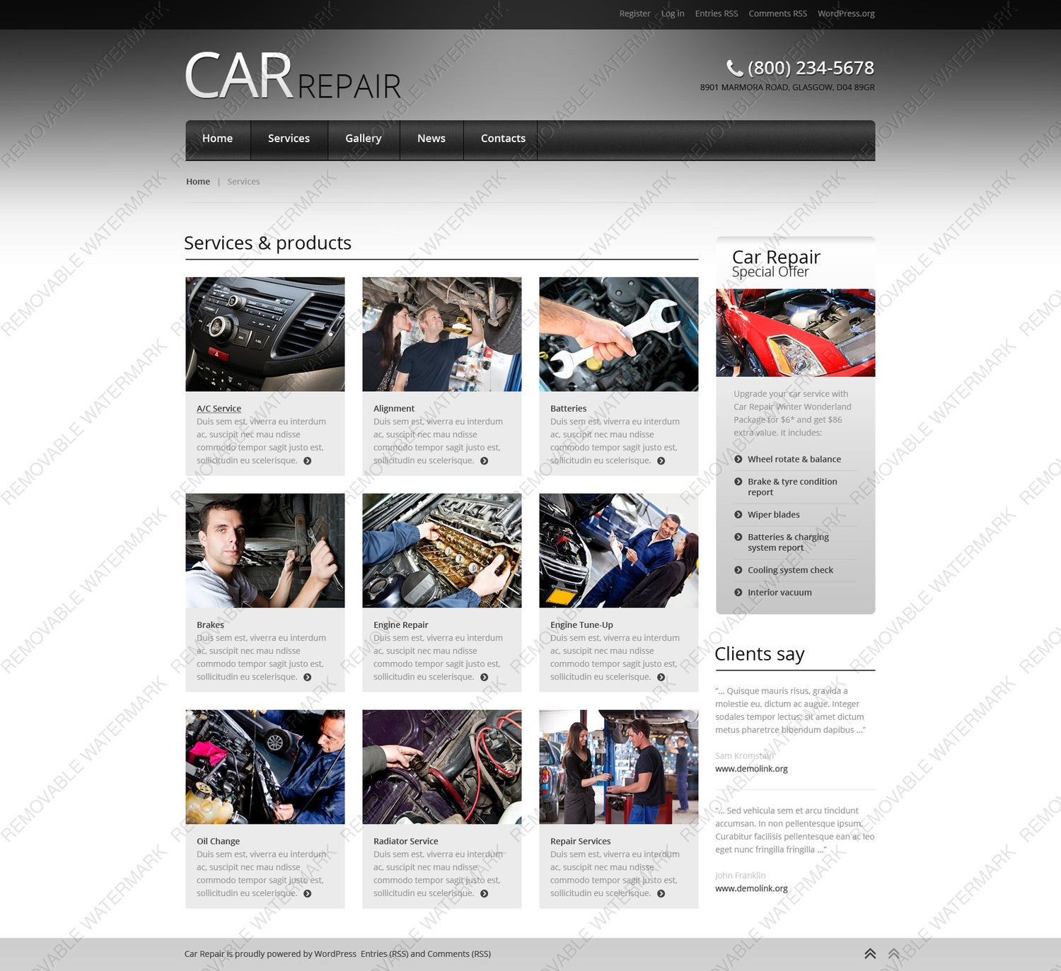 WordPress Themes - GoWebBaby.Com